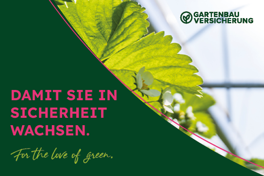 Folientunnel, Wetterschutzanlagen, Hopfengerüste